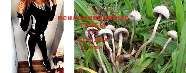 мдпв Кукмор