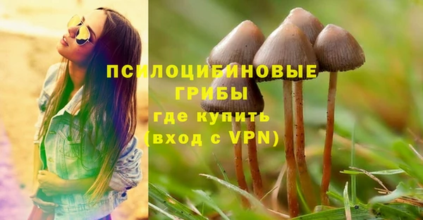 мяу мяу мука Кулебаки